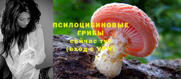 ПСИЛОЦИБИНОВЫЕ ГРИБЫ Зеленодольск