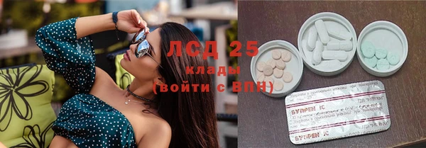ПСИЛОЦИБИНОВЫЕ ГРИБЫ Зеленодольск