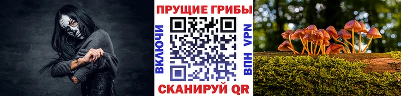 Купить закладки  Щёкино  Галлюциногенные грибы GOLDEN TEACHER 
